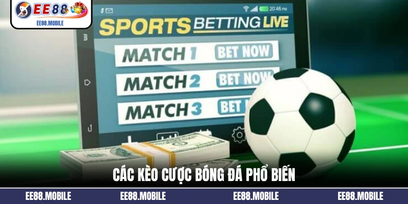 Các kèo cược bóng đá phổ biến